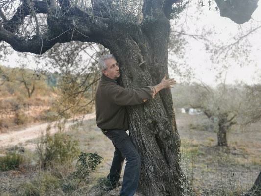 ESTIMANT LES OLIVERES