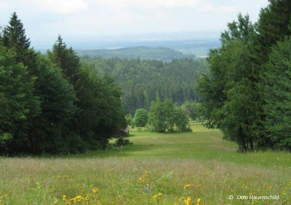 Wiese Poppenberg