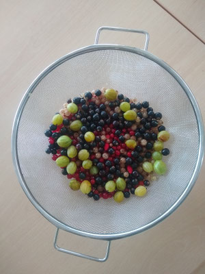 Bunte Beerenmischung