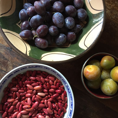 Potager, récolte, légumes, fruits, slow life, Gap, Hautes Alpes