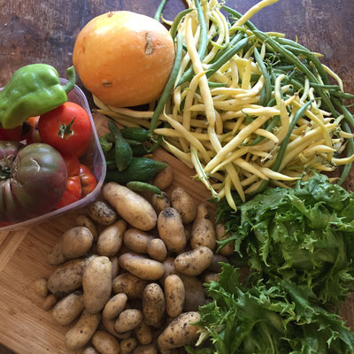 Potager, récolte, légumes, slow life, Gap, Hautes Alpes