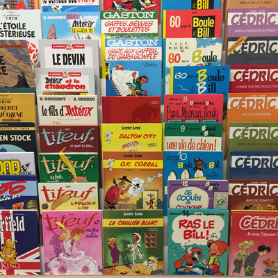 La Nouvelle Librairie, livres, occasion, neuf, Gap, Hautes-Alpes