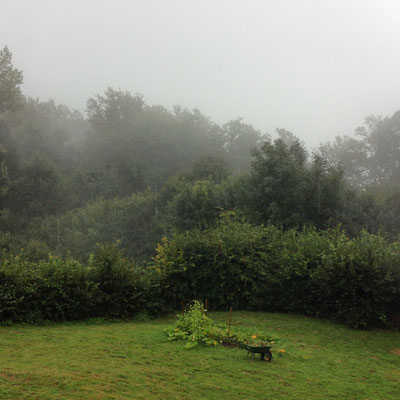 Cantal, Salesse, jardin sous la pluie