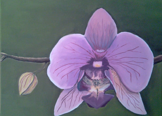 Orchidee, verkauft