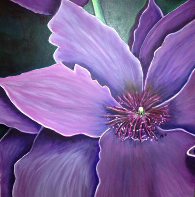 Clematis, verkauft