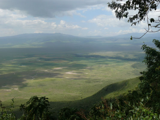 im Ngorongoro Krater