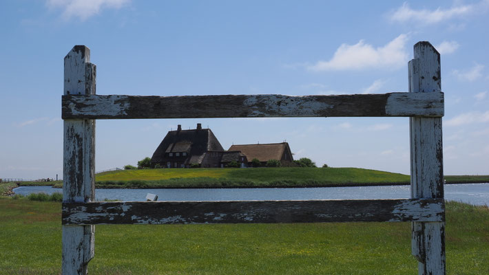 Foto: Thomas Muhl