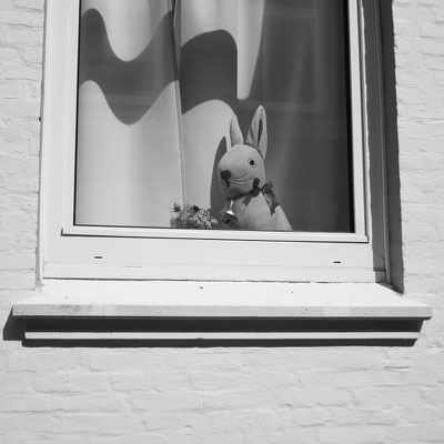 Foto: Mark Kröplin