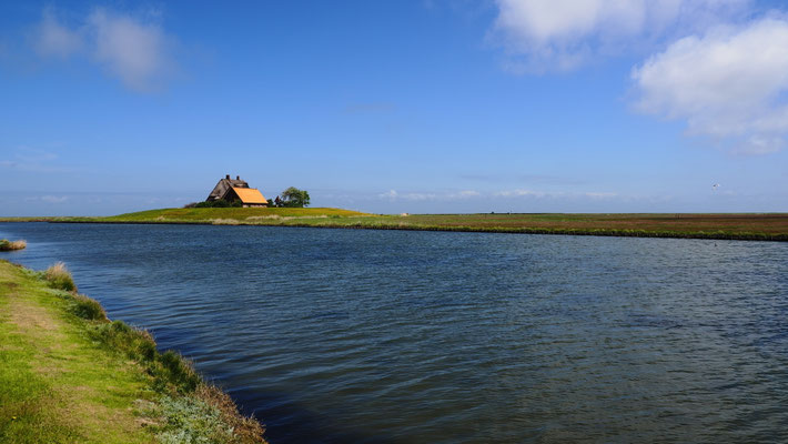 Foto: Thomas Muhl