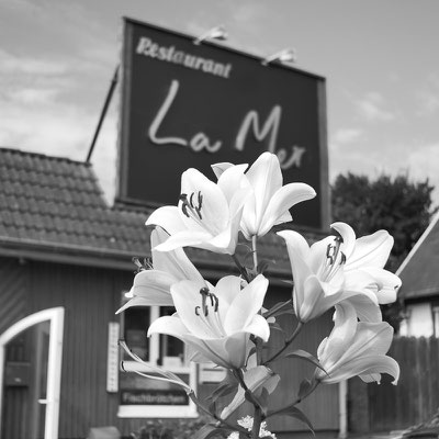 Foto: Mark Kröplin