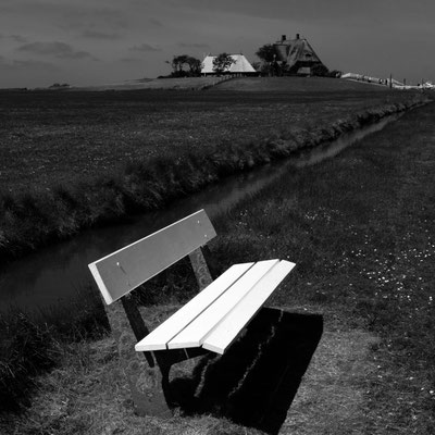 Foto: Rainer Roggenbuck