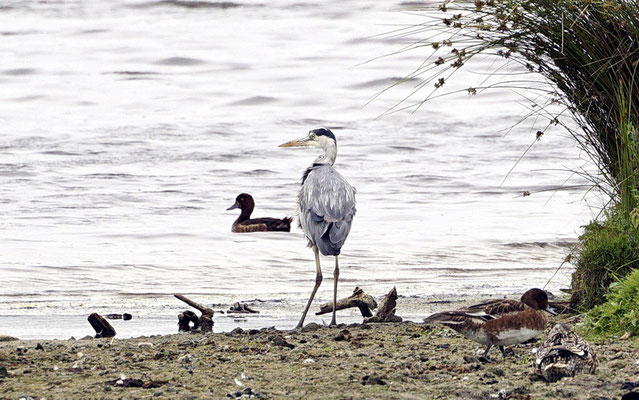 Foto: Ralf Steinkat