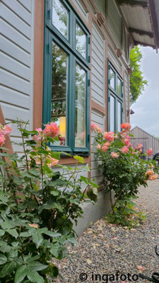 Foto: Inga Habenicht