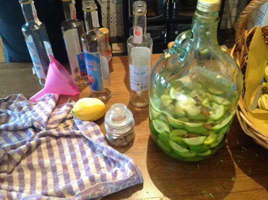 Preparazione del Nocino