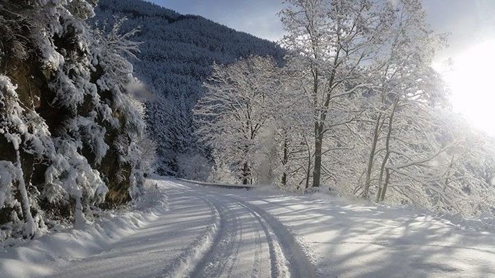 La neve in Pratomagno