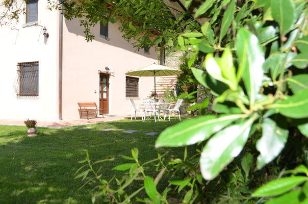 Il giardino - Primo piano della bellissima pianta di Alloro