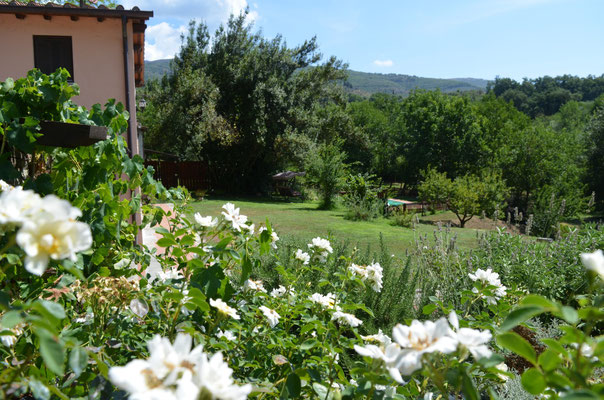Vista sul giardino