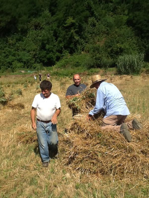 La battitura del grano
