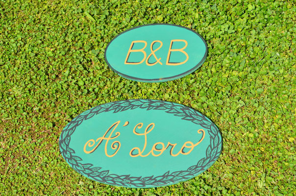 Logo su erba