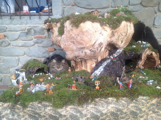 Tigre sul Presepe