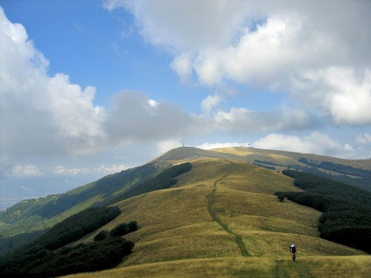 Pratomagno