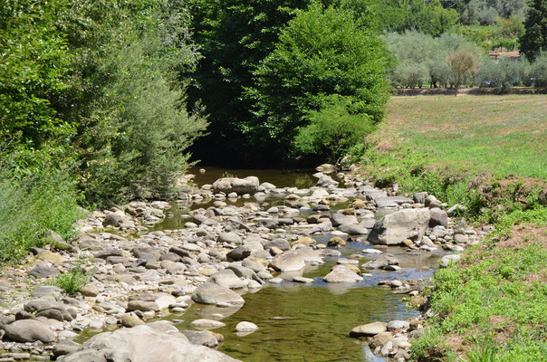 View on the river