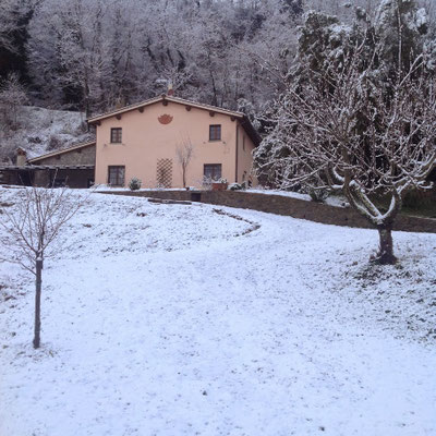 La neve