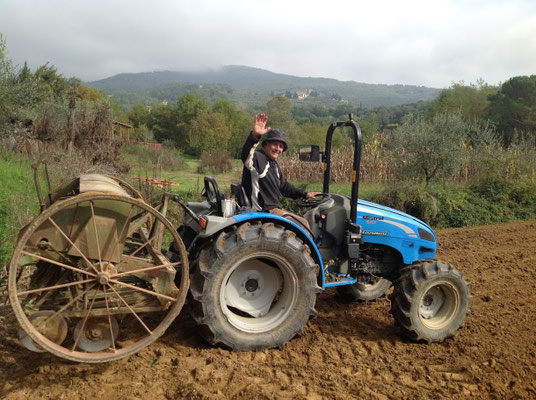 La semina del grano