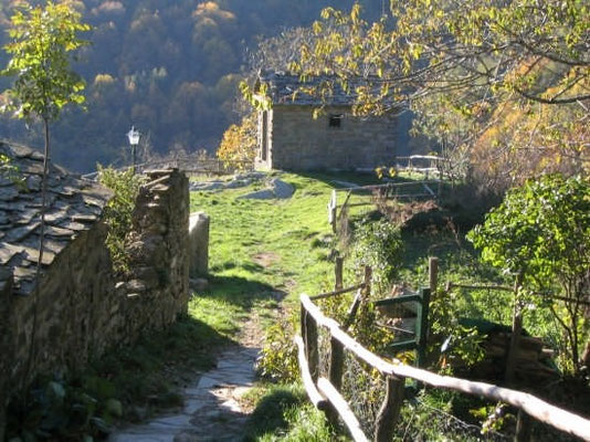 Rocca ricciarda