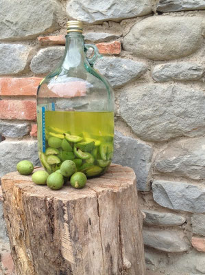 Nocino