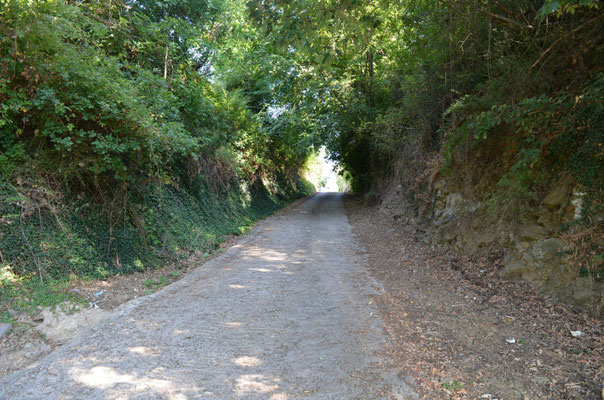 Strada di accesso al B&B