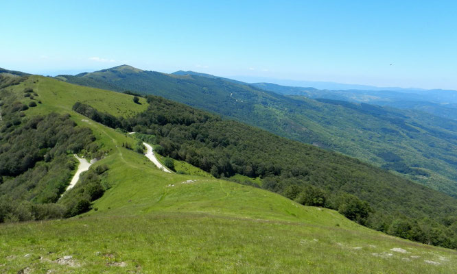 Il crinale del Pratomagno