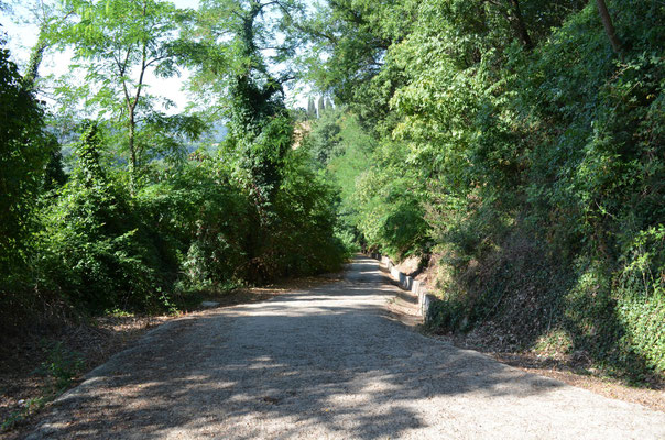 Strada di accesso al BnB