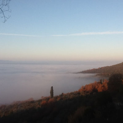 Nebbia sul Valdarno