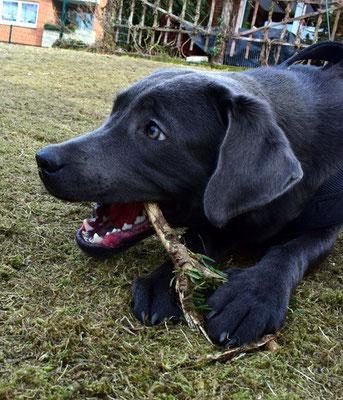 Meine kleine Emmy, du bist so wunderschön!