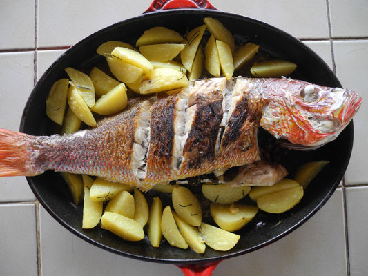 whole Red Snapper