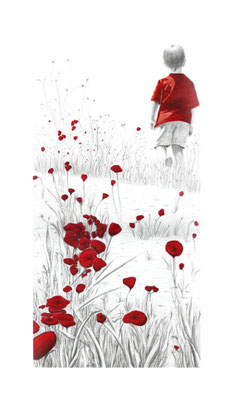 Las amapolas de Palouet, la Segarra. Lápiz grafito y rotulador
