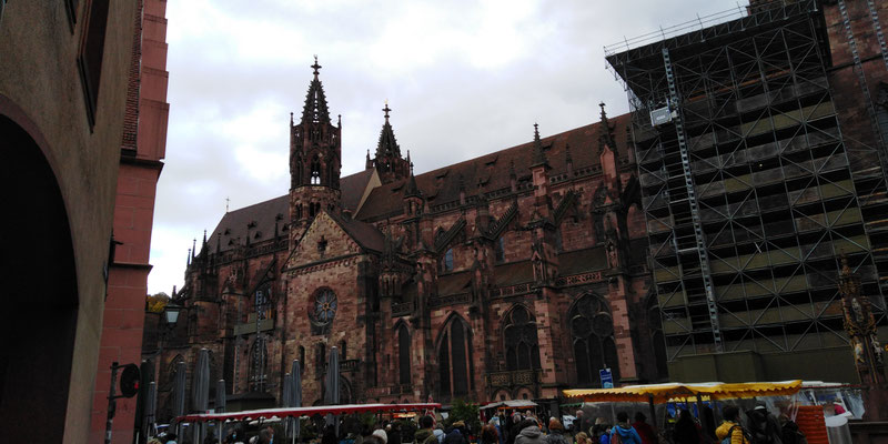Münster in Freiburg