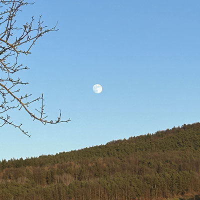 Mond