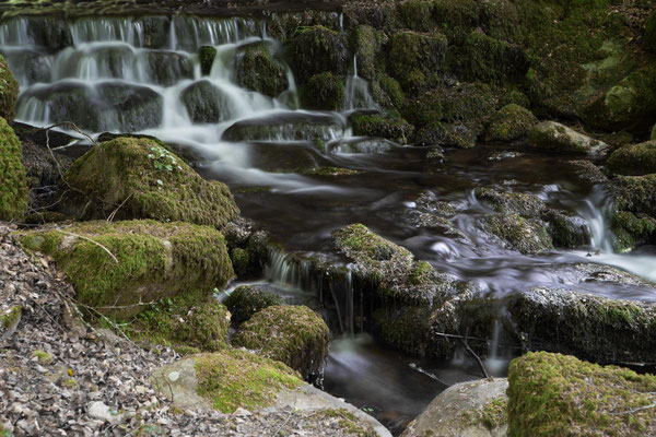 Buckland-on-the-moor III