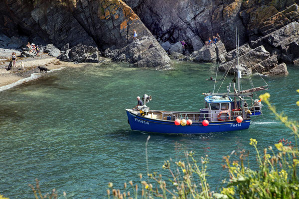 Cadgwith, Fisherman