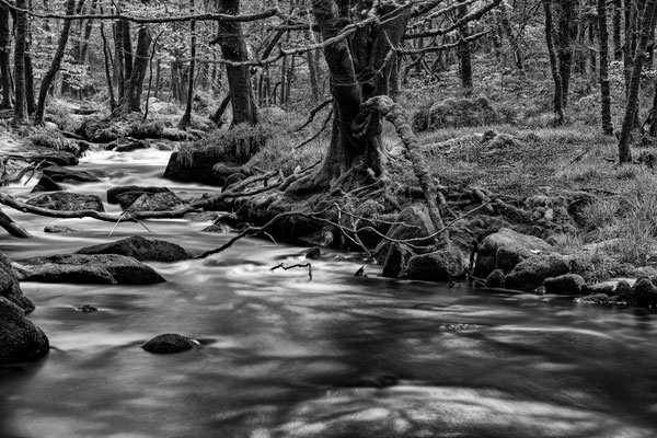 River Fowey B/W
