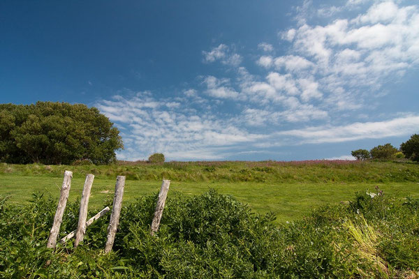 Lizard Point Landschaft