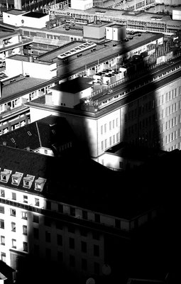 Im Schatten des Doms