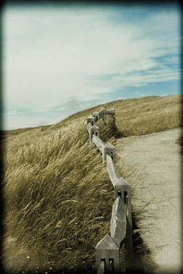 Beachy Head Landscape