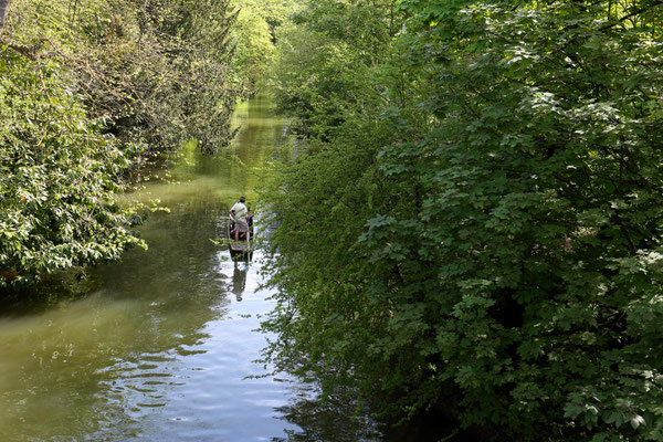 Boat trip in Oxford ooc