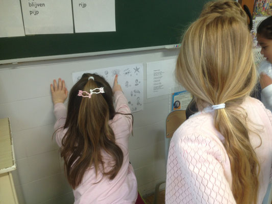 Welkom De Website Van Vbsdelibel