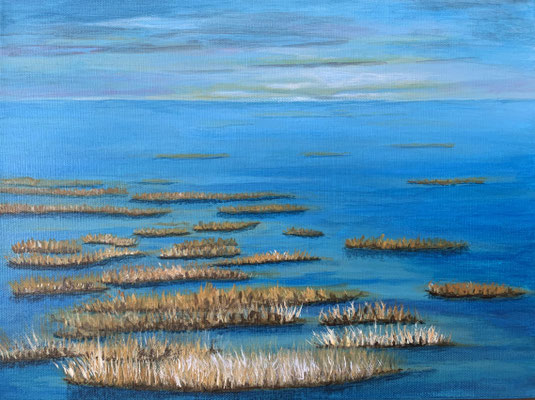 fertiggestellt 2023 - Titel: Boddenlandschaft - Format 30 x 40 cm - verkauft