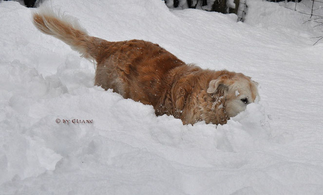 sooooooo viel Schnee !