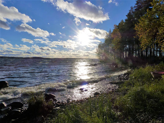 The shore in front of your house in autumn